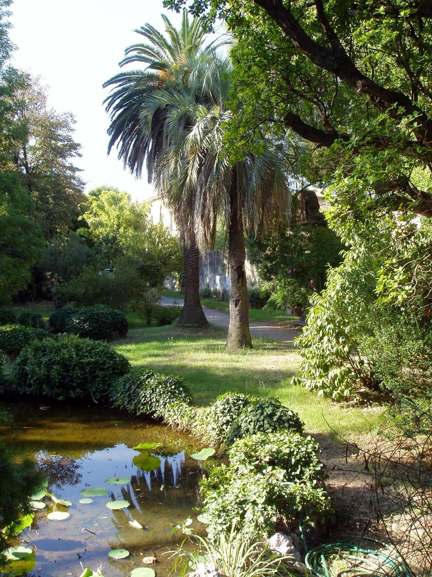 Appartamento Hagley Park Hidden Gem Christchurch Esterno foto